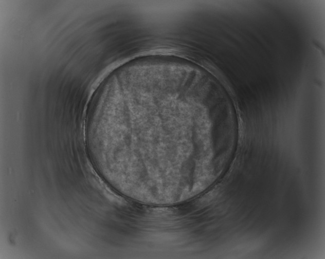 X0000103251436200809251340