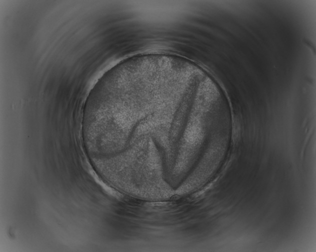 X0000103251437200809251340