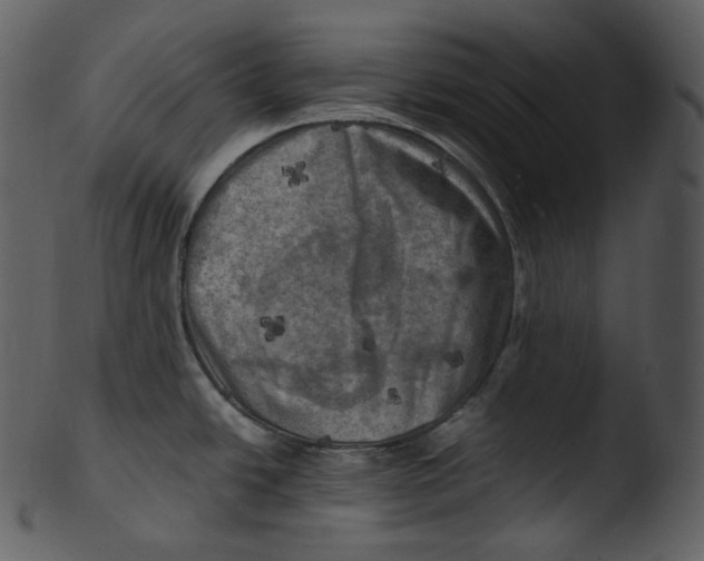 X0000103251438200809251340