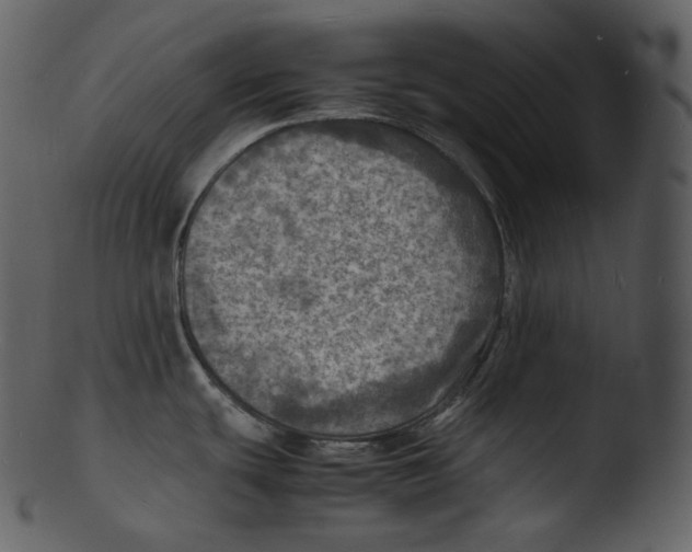 X0000103251439200809251341