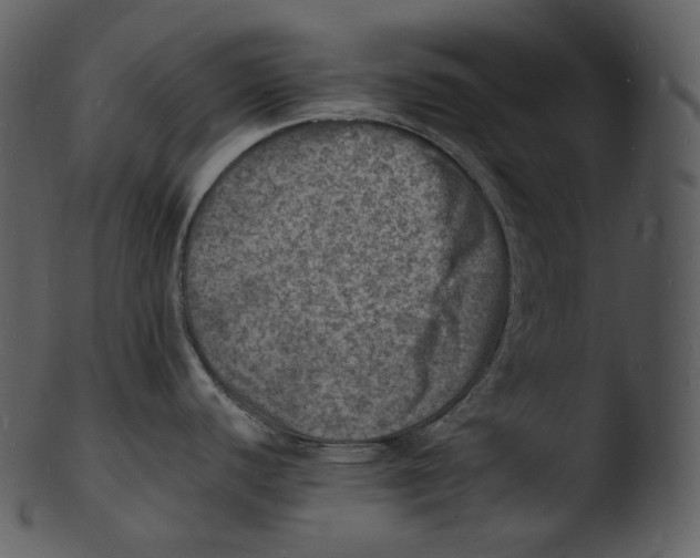 X0000103251440200809251341