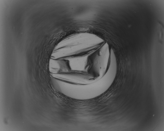 X0000103251441200809251340