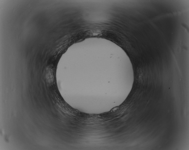 X0000103251442200809251340