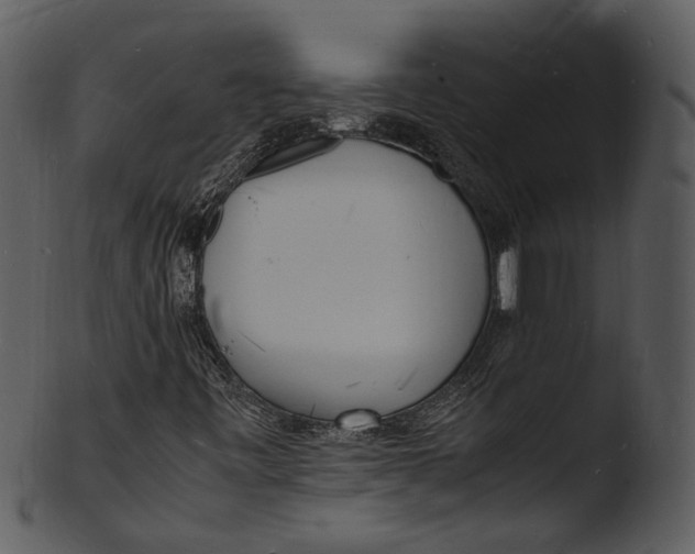 X0000103251443200809251340