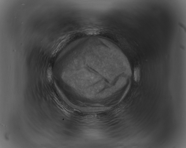 X0000103251444200809251340