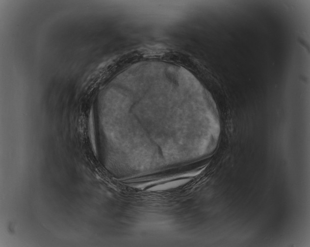 X0000103251445200809251340