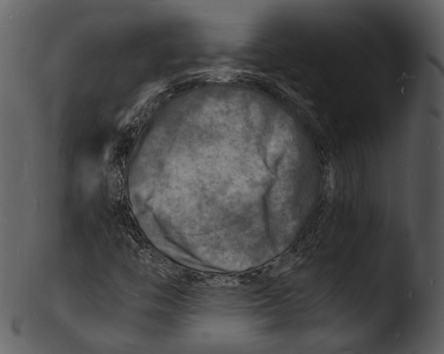 X0000103251446200809251340