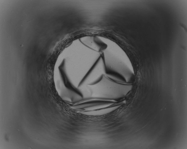 X0000103251447200809251340