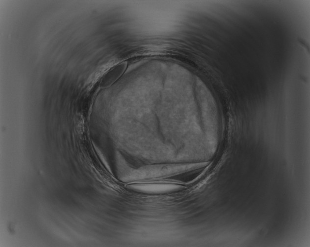 X0000103251449200809251340
