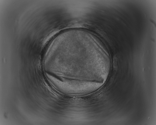 X0000103251452200809251340