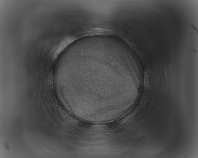 X0000103251453200809251340