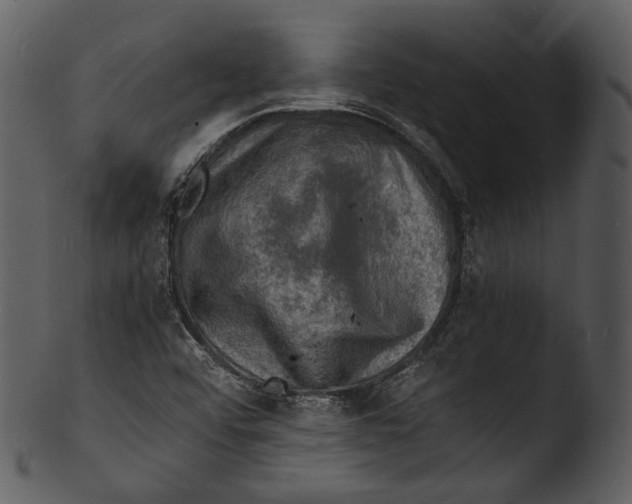 X0000103251456200809251339
