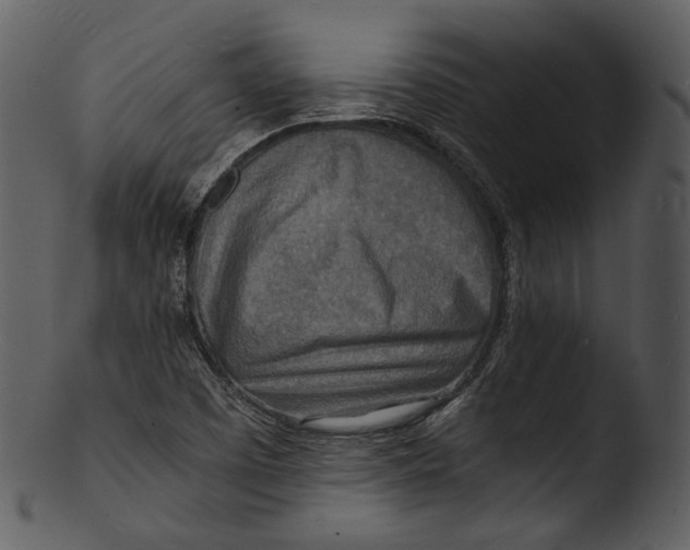 X0000103251457200809251339