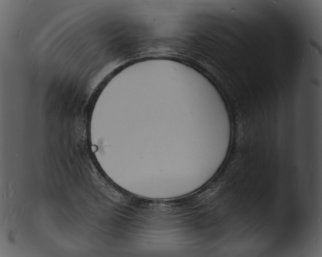 X0000103251458200809251339