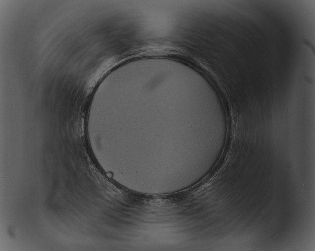 X0000103251459200809251339