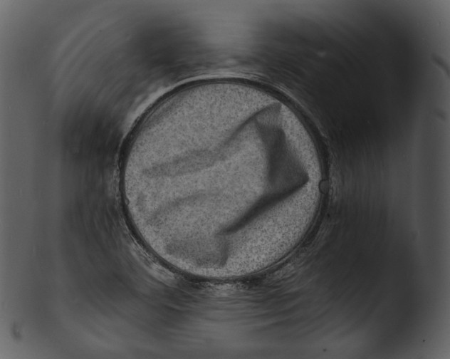 X0000103251460200809251339