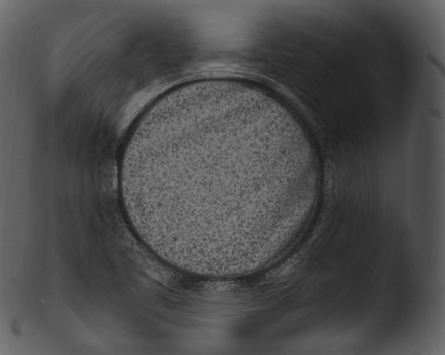X0000103251461200809251339
