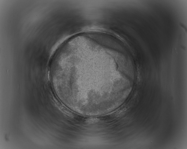X0000103251462200809251339