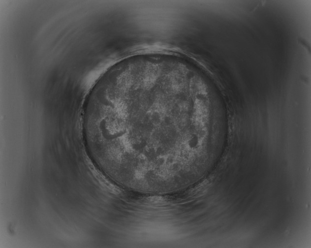 X0000103251463200809251339