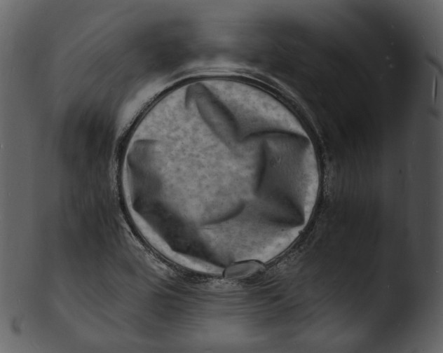 X0000103251464200809251339