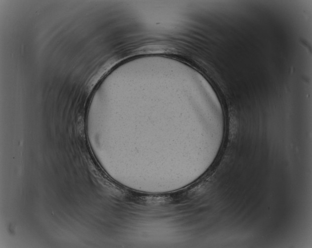 X0000103251465200809251339