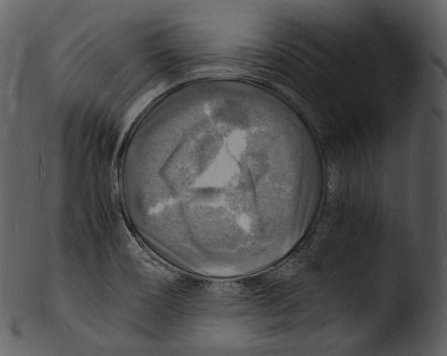 X0000103251466200809251339
