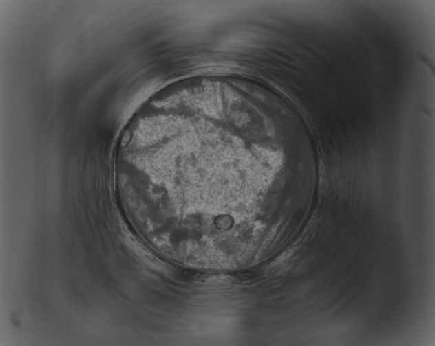 X0000103251467200809251339