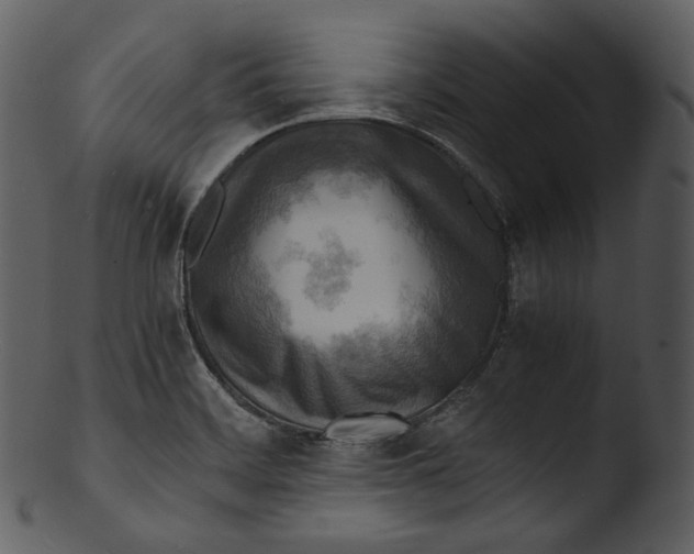 X0000103251468200809251339