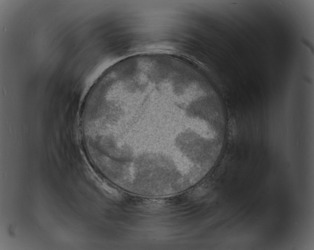X0000103251470200809251339