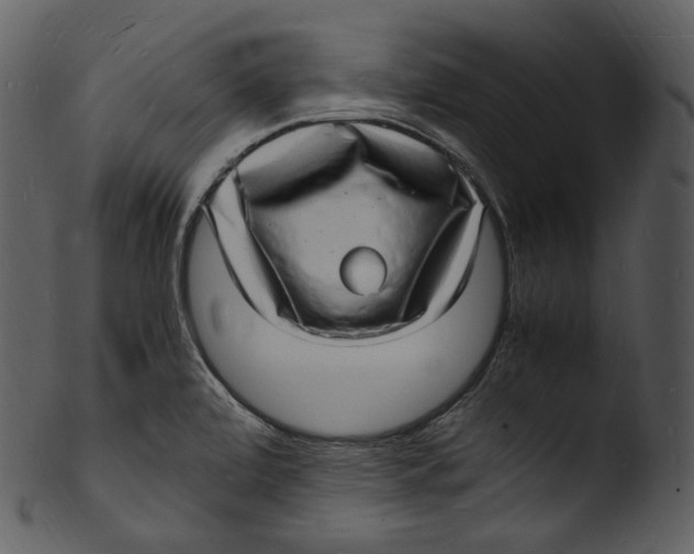X0000103251472200809251339