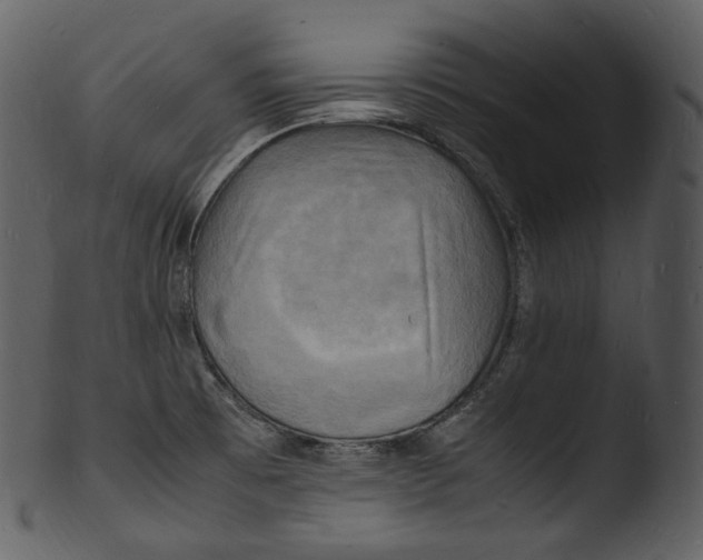 X0000103251473200809251339