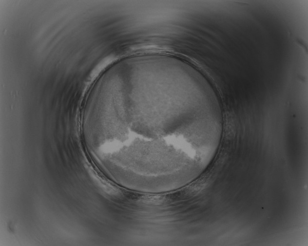 X0000103251474200809251339