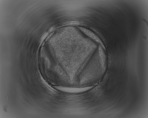X0000103251475200809251339