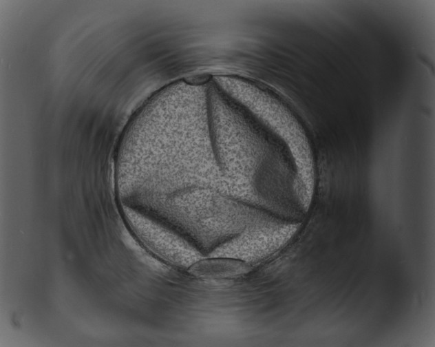 X0000103251476200809251339