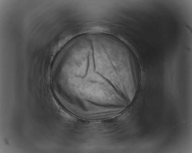X0000103251477200809251339