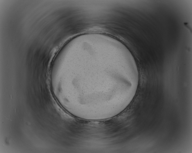 X0000103251478200809251339