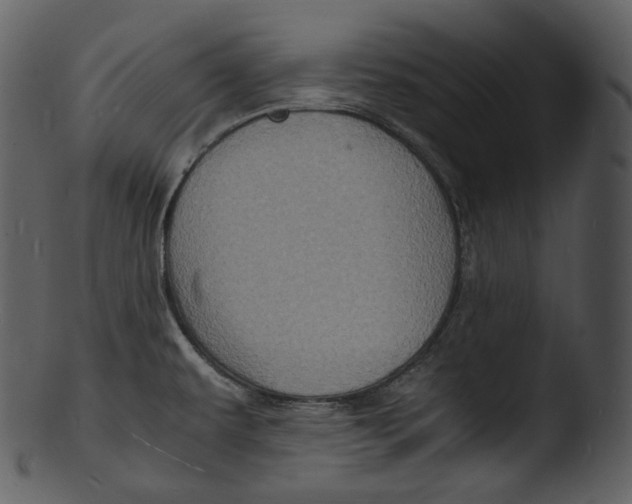 X0000103251479200809251339