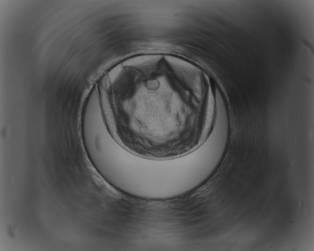 X0000103251480200809251339