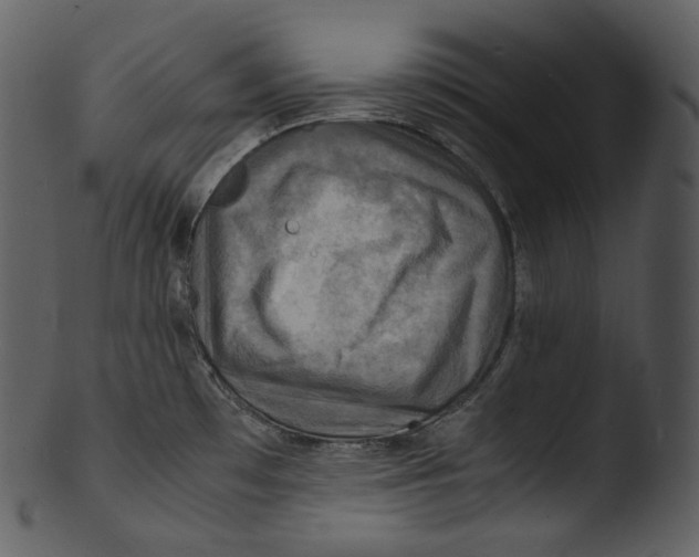 X0000103251481200809251339