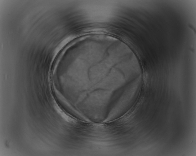 X0000103251482200809251339