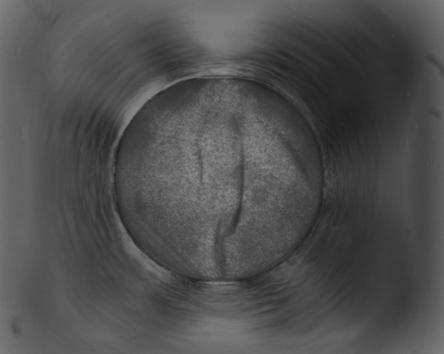 X0000103251483200809251339