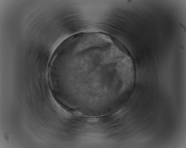 X0000103251484200809251339