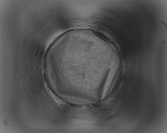 X0000103251485200809251339