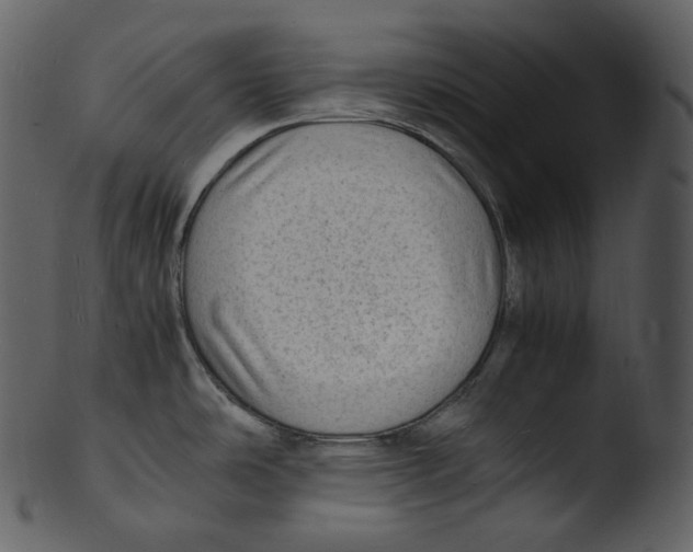X0000103251486200809251339