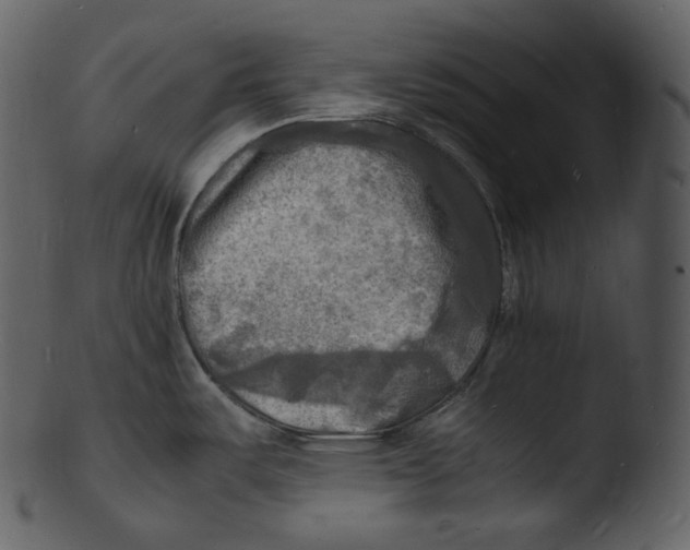 X0000103251487200809251339