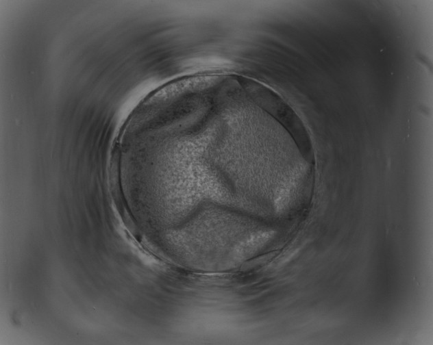X0000103251488200809251339