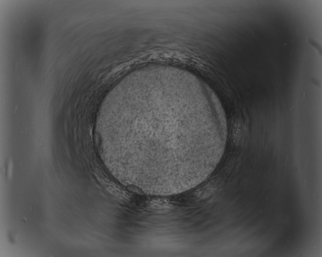 X0000103251489200809251338