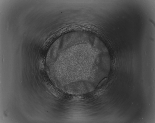 X0000103251490200809251338