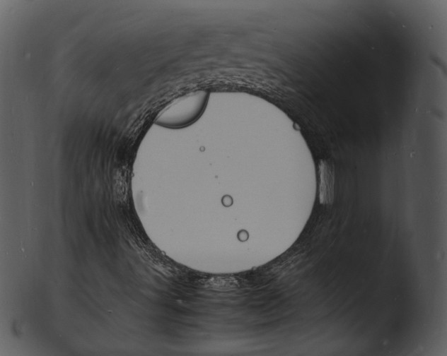 X0000103251491200809251338