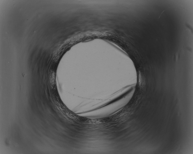 X0000103251492200809251338